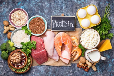 In What Ways Do You Think Protein Plays A Role In Your Diet?